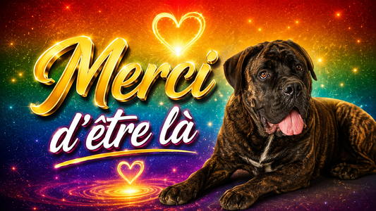 🐾 Merci d’être là ! (Le message officiel de Lenox pour toute la famille)