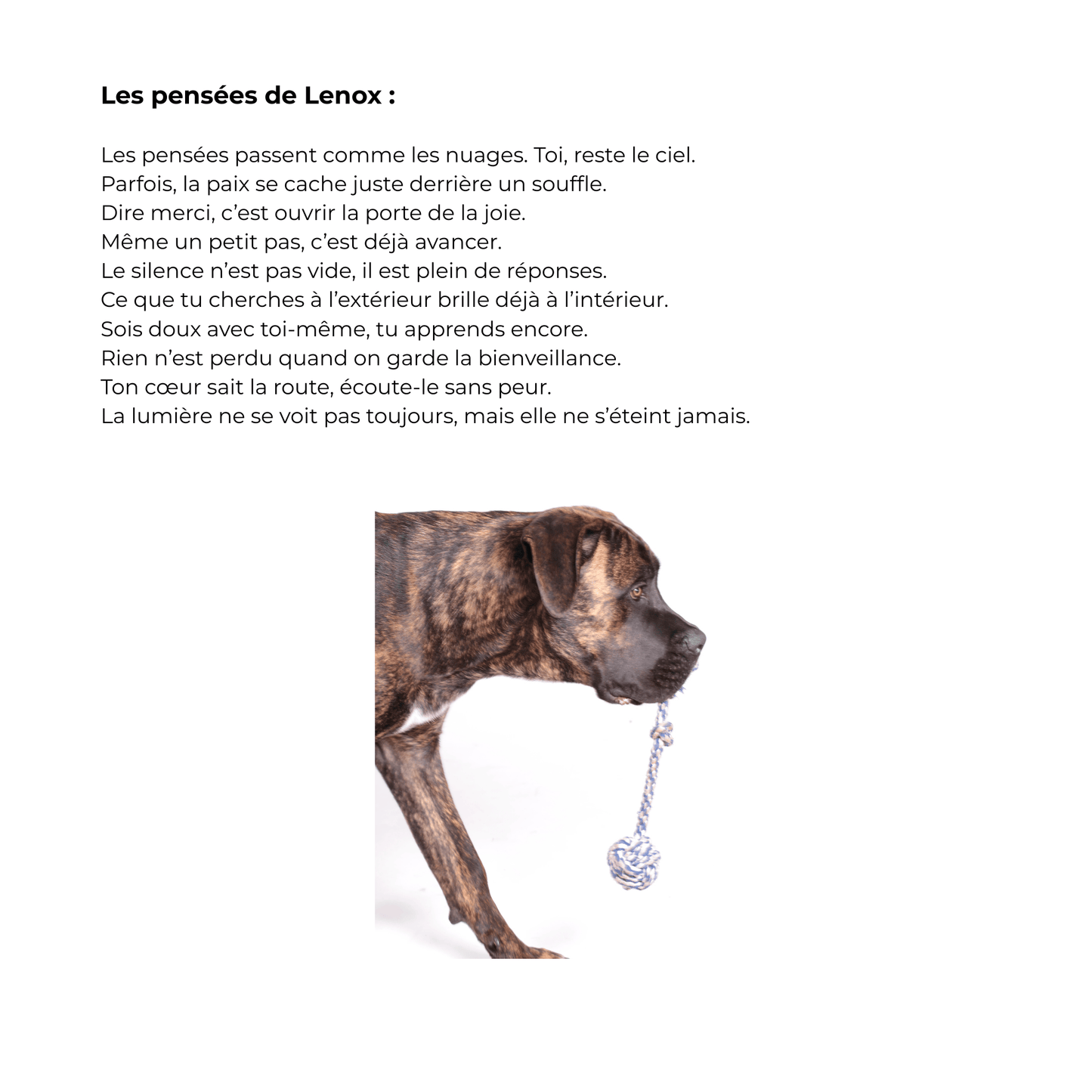 Journal Souriez à la vie: Un compagnon de lumière pour écrire, rêver, se calmer et grandir (pdf)